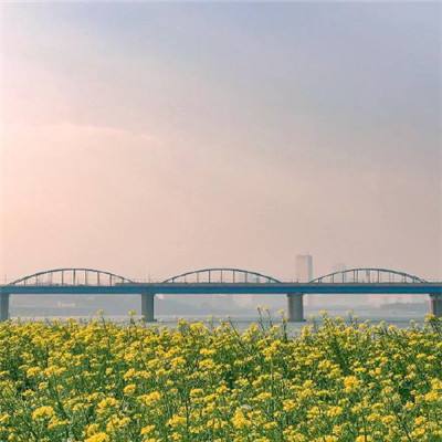 建桥专家游戏下载