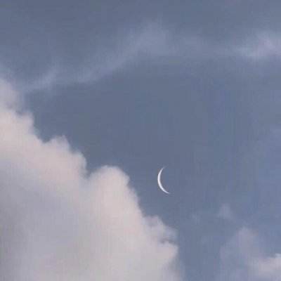 赛尔特大陆bt版下载